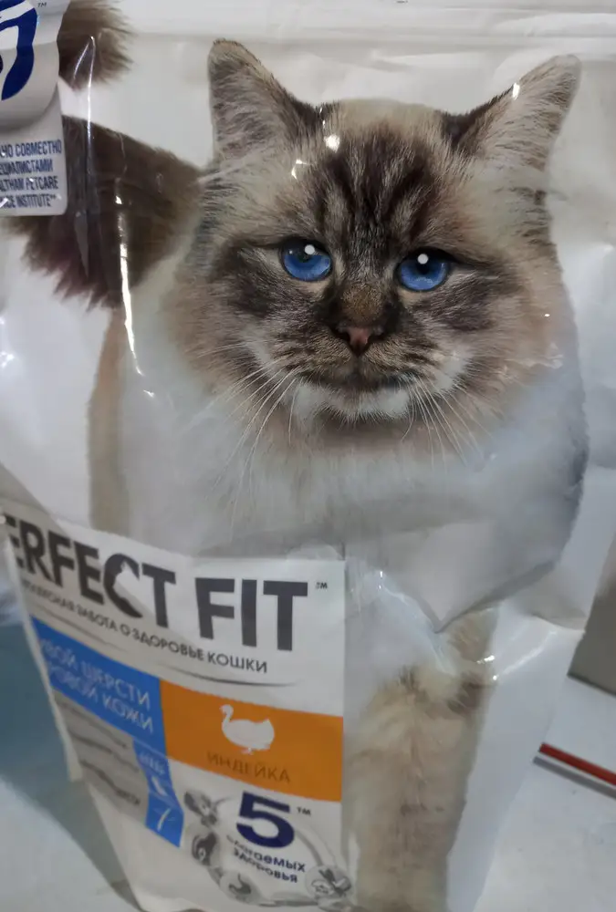 Быстрая доставка, счастливые коты!!!