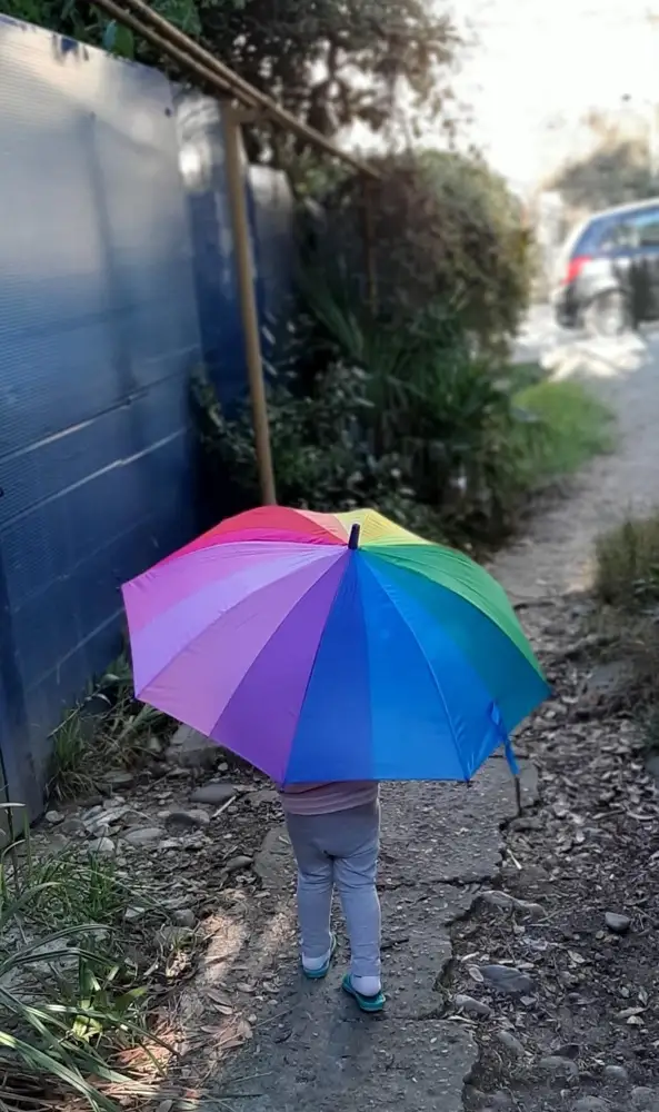 Зонтик супер!
Нам 2 года ,зонт лёгкий и яркий.качественный.
Свисток правда очень слабый не слышно почти.