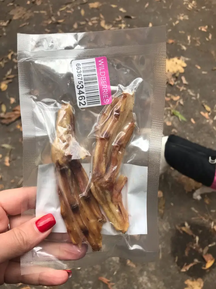 Лапки собаке понравились👍🏼 Хрумкала с удовольствием)