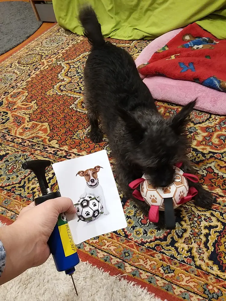 Мяч просто супер! Моя собака в восторге! В комплекте идёт насос. Рекомендую