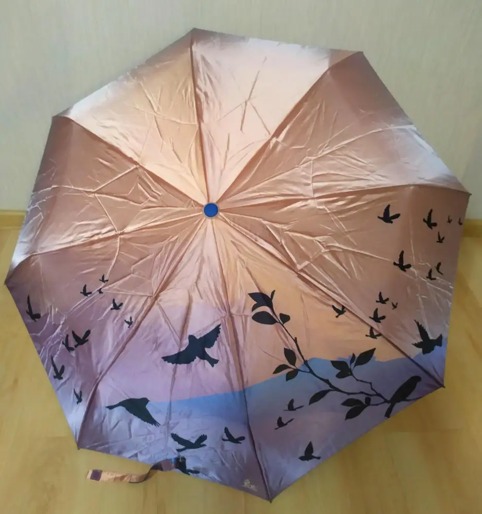 Идеальный зонт) пришел в красивой упаковке. Чехол - на молнии, сам зонт - на липучке. Красочная, не избитая расцветка. Удобная ручка. В деле пока не использовала, но выглядит надёжно) надеюсь, будет радовать меня и дальше)