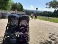 Отзыв Коляска для двойни Inglesina Twin Sketch Navy #20172