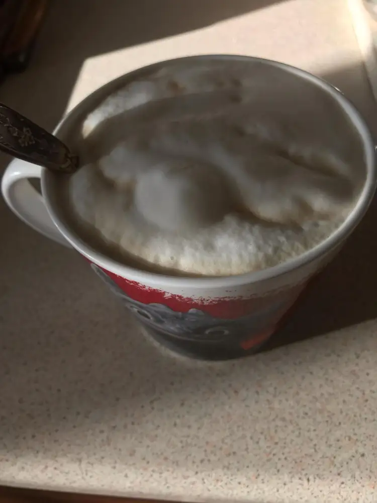 Капучинатор классный, люблю кофе с пенкой. Всё получилось с первого раза.