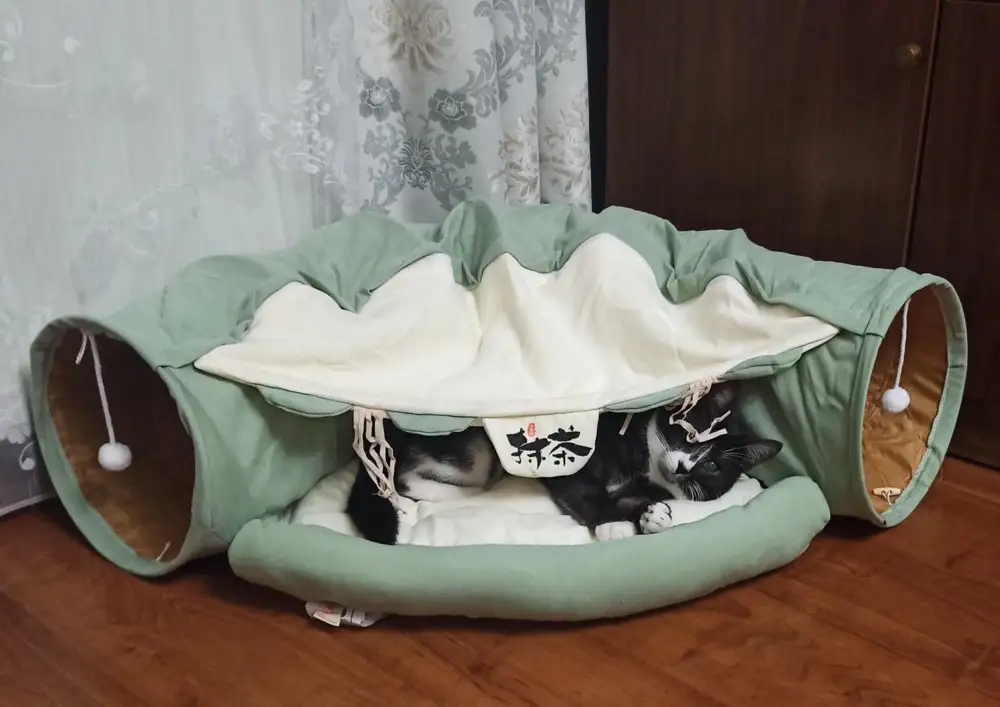 Отличная штука! Коту очень понравился и тоннель и домик. И качество отличное. Все как на фото. Думаю еще в подарок куплю парочку)) Спасибо!